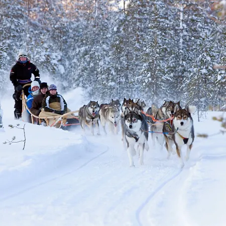 Arctic Rovaniemi