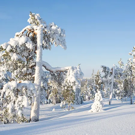 Arctic Hotel Rovaniemi