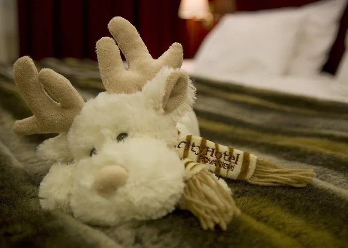 アークティック シティ ホテル ロヴァニエミ