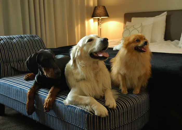 ホテル アークティック シティ 4*